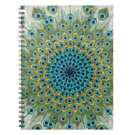 男性の孔雀のカラフルの曼荼羅 ノートブック (正面)