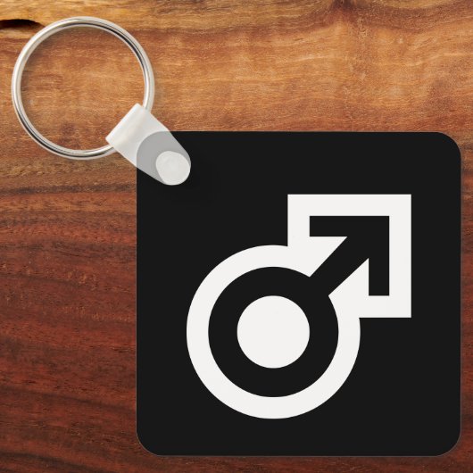 男性の性別の矢印の記号は、公共の男性のトイレ キーホルダー (正面)
