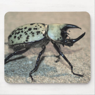 男性の東のヘラクレスのカブトムシのマウスパッド マウスパッド