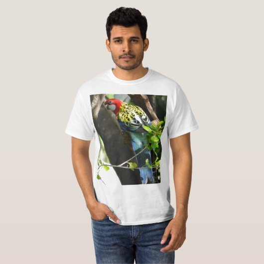 男性の東のRosella Tシャツ (正面フル)