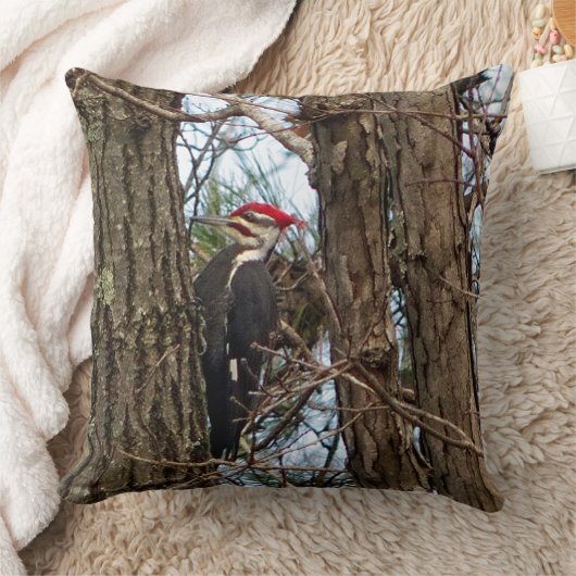 男性の玉毛枕 クッション (ブランケット)