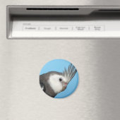 男性の白面尾骨 マグネット (インサイチュ (食洗機))