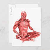 男性の筋肉の座っている医学的イラストレーション ポストカード (正面/裏面)