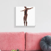 男性の筋肉システムの解剖学，側面ビュー2 キャンバスプリント (インサイチュ (リビング))