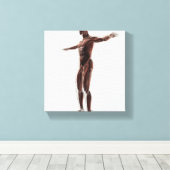 男性の筋肉システムの解剖学，側面ビュー2 キャンバスプリント (インサイチュ (ウッドフロア))