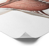 男性の筋肉システムの解剖学,側面1 ポスター (角)