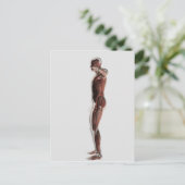 男性の筋肉システムの解剖学,側面3 ポストカード (スタンド正面)