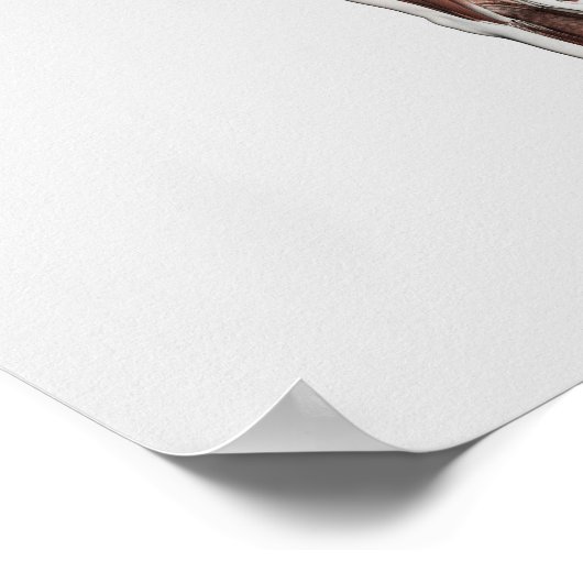 男性の筋肉システムの解剖学、後面図 ポスター (角)