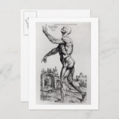 男性の筋肉組織(b/w negおよびプリント) ポストカード (正面/裏面)