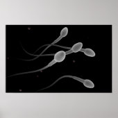 男性の精子の概念像 ポスター (正面)