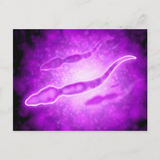 男性の精子細胞の顕微鏡的見解 ポストカード (正面)