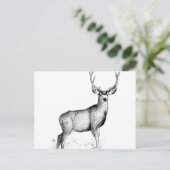 男性の聖職者 ポストカード (スタンド正面)