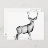 男性の聖職者 ポストカード (正面/裏面)