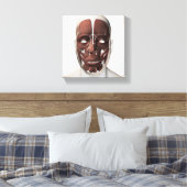 男性の顔の筋肉の医学的イラストレーション キャンバスプリント (インサイチュ (寝室))