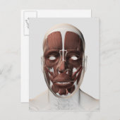 男性の顔の筋肉の医学的イラストレーション ポストカード (正面/裏面)