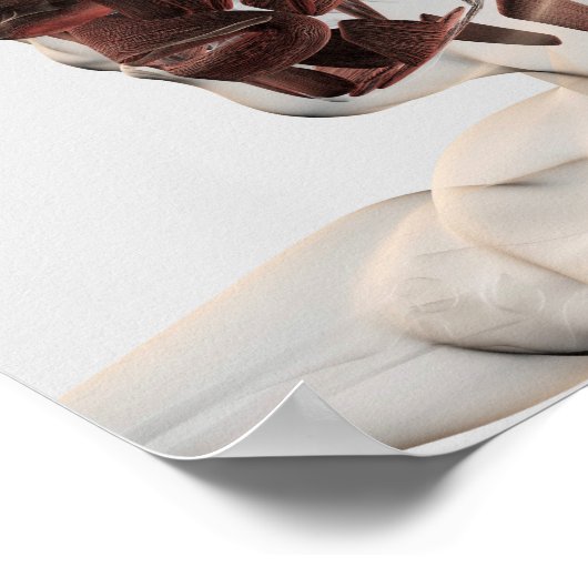 男性の顔の筋肉の解剖学的側面 ポスター (角)