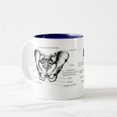 男性の骨盤の詳細 ツートーンマグカップ (正面左)