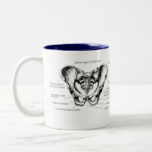 男性の骨盤の詳細 ツートーンマグカップ (左)