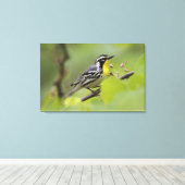 男性の黄色い喉を持つワルブラス，デンドロイカ キャンバスプリント (インサイチュ (ウッドフロア))