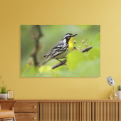 男性の黄色い喉を持つワルブラス，デンドロイカ キャンバスプリント (インサイチュ (リビング))