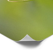 男性の黄色い喉を持つワルブラス,デンドロイカ ポスター (角)