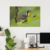 男性の黄色い喉を持つワルブラス,デンドロイカ ポスター (ホームオフィス)