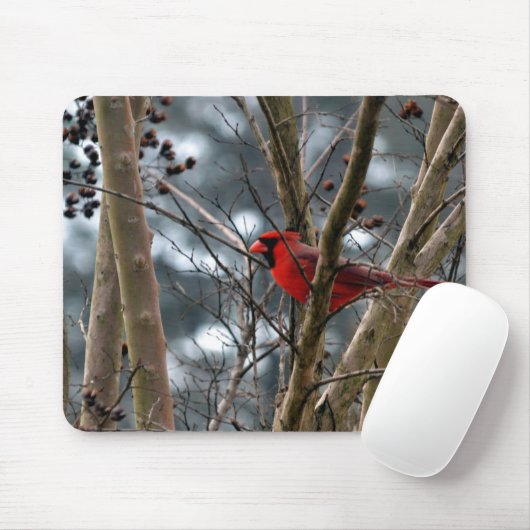男性の(鳥)ショウジョウコウカンチョウの集中 マウスパッド (マウス)