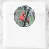 男性の（鳥）ショウジョウコウカンチョウ写真シール ラウンドシール (バッグ)