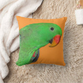 男性のEclectusのオウムの装飾用クッション クッション (ブランケット)