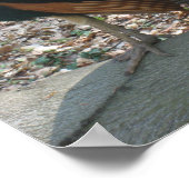 男性インディアン孔雀 ポスター (角)