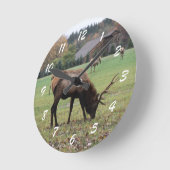 男性エルク写真〔雄ジカの〕枝角フィールド秋 ラウンド壁時計 (傾斜)