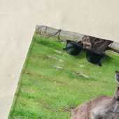 男性オーストラリアのカンガルー、ビーチタオル ビーチタオル (インサイチュ)