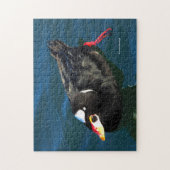 男性サーフスコーターダックアットザピア ジグソーパズル (縦)