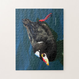 男性サーフスコーターダックアットザピア ジグソーパズル