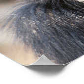 男性チンパンジーのクローズアップ ポスター (角)