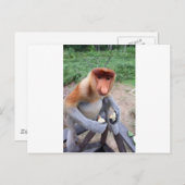 男性プロボシス猿と親しく個人的に ポストカード (正面/裏面)