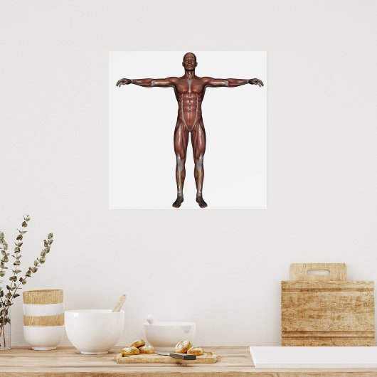 男性ポスターの筋肉 ポスター (キッチン)