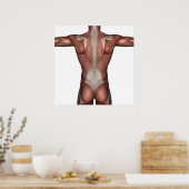 男性ポスターの筋肉 ポスター (キッチン)