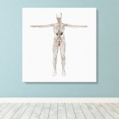 男性リンパ系の医学的イラストレーション キャンバスプリント (インサイチュ (ウッドフロア))