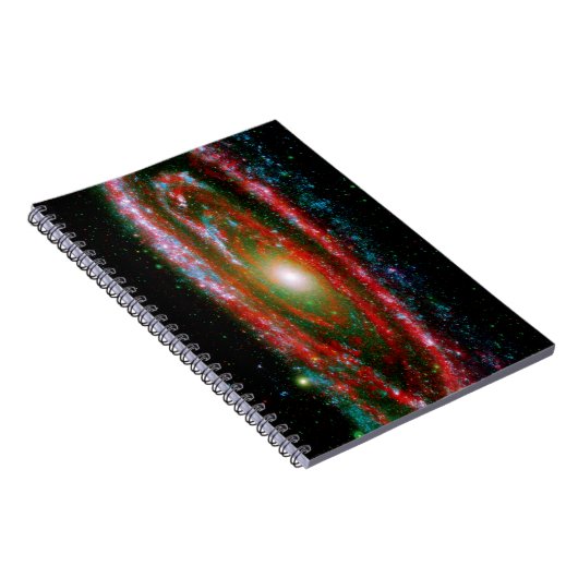 男性器 ノートブック (右側)