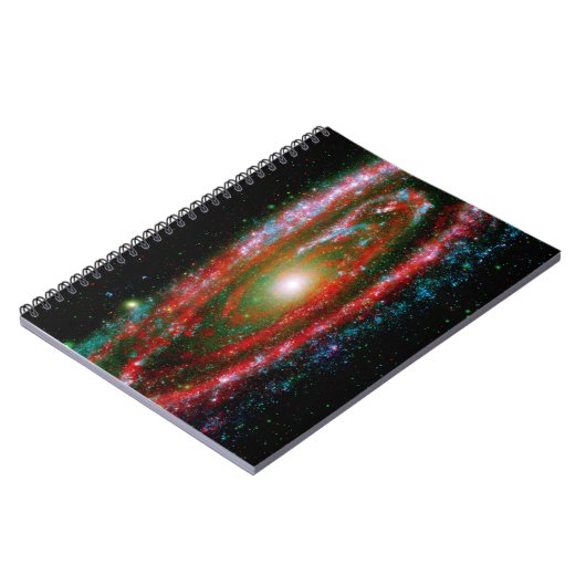 男性器 ノートブック (左側)