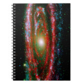 男性器 ノートブック (正面)