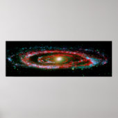 男性器 ポスター (正面)