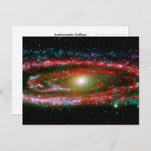 男性器 ポストカード (正面/裏面)