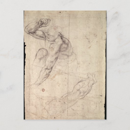 男性姿勉強 ポストカード (正面)