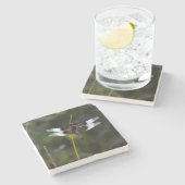 男性未亡人スキマードラゴンフライ ストーンコースター (横)