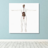 男性消化器系の医療イラストレーション キャンバスプリント (インサイチュ (ウッドフロア))