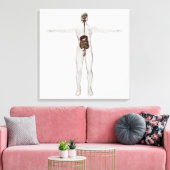 男性消化器系の医療イラストレーション キャンバスプリント (インサイチュ (リビング))