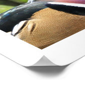 男性用木製ダックプロファイル ポスター (角)