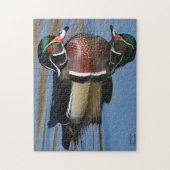 男性用木鴨反射 ジグソーパズル (縦)